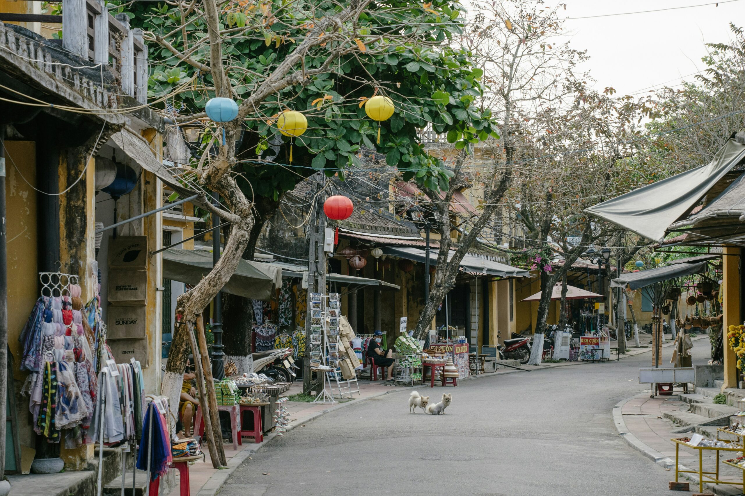 Hoi An weather: Best time to visit the world-famous ancient town in Vietnam