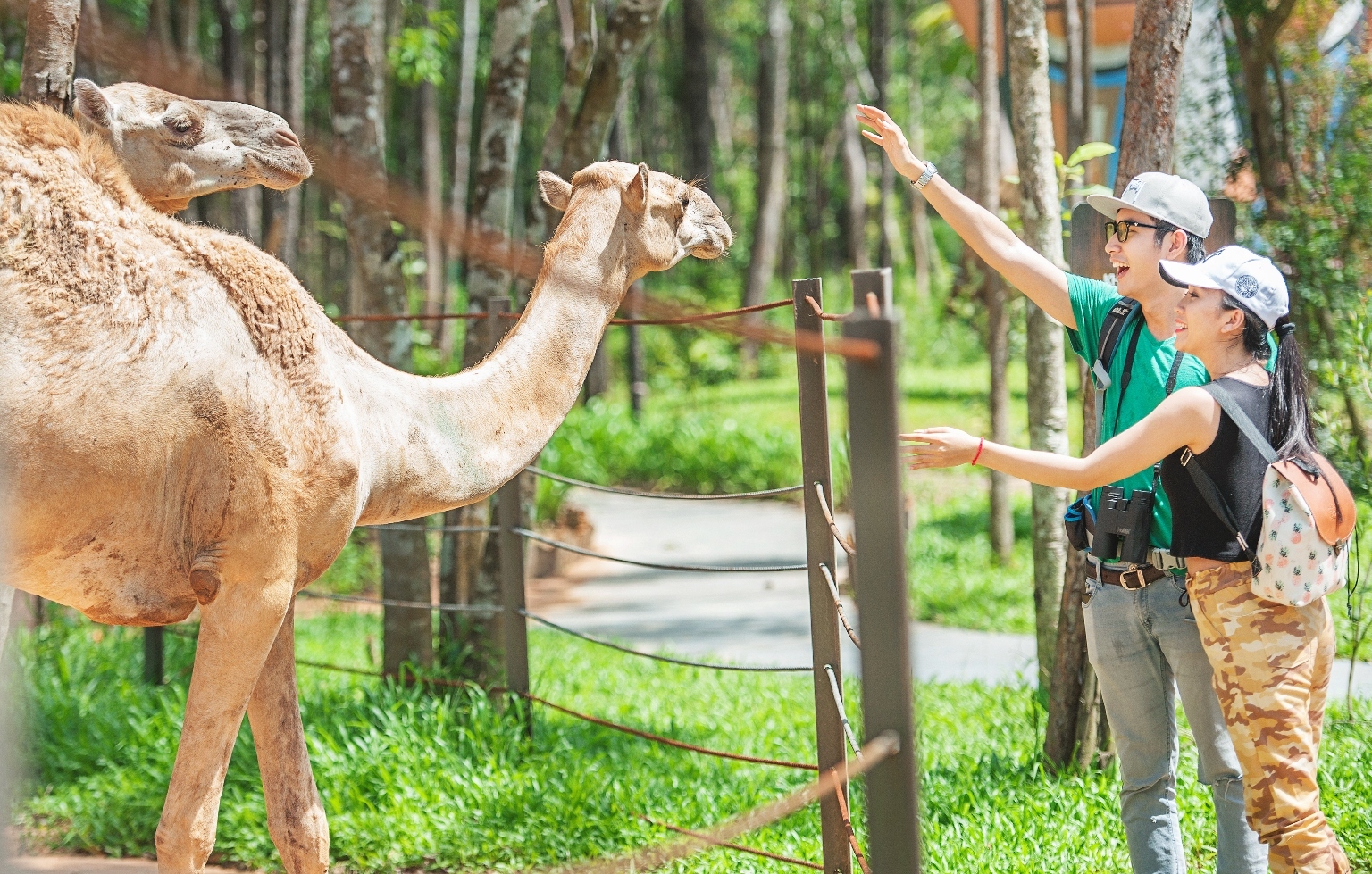 Muong Thanh Safari Land