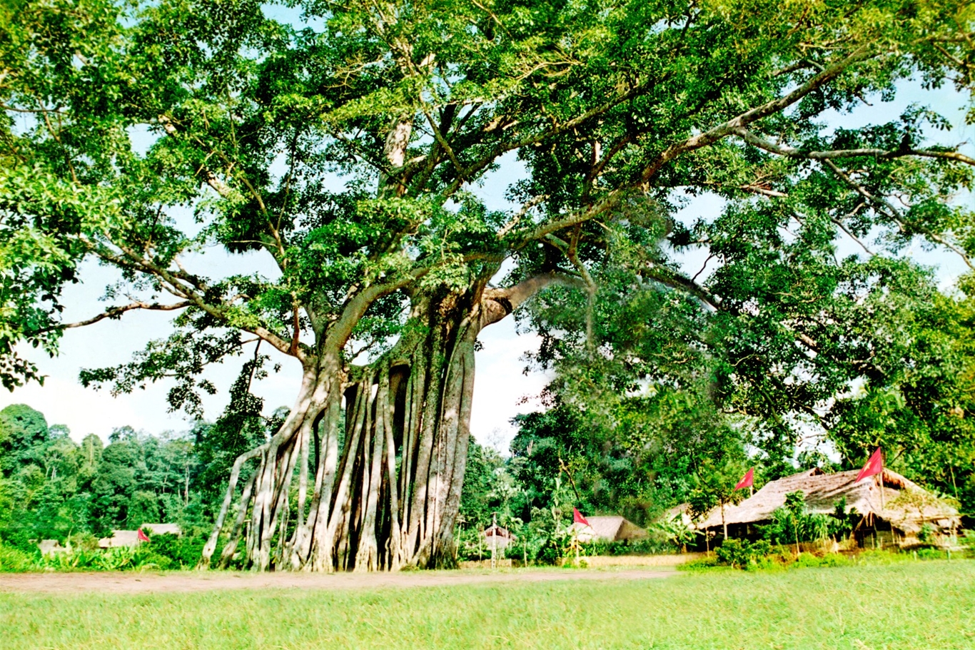 Visiting Tan Trao Historic Site to learn the August 1945 Revolution