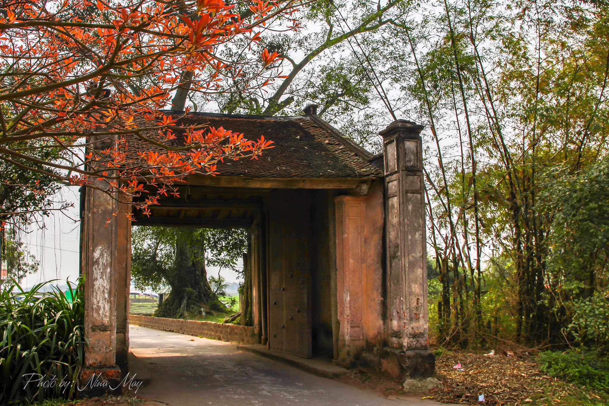 An impressive scenery of Duong Lam ancient village