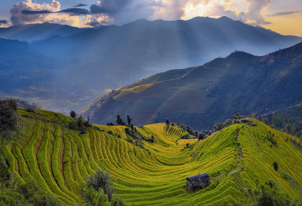 Admire 6 places to see breathtaking terraced fields in Vietnam