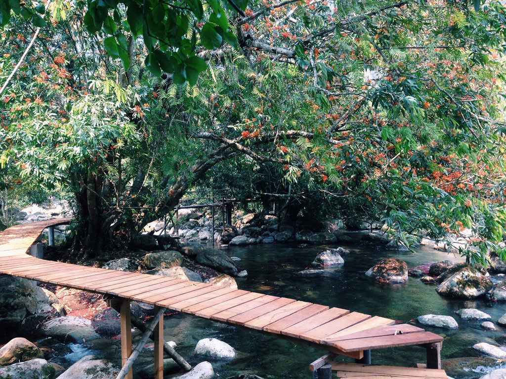 Unveiling Nuoc Mooc Stream: Quang Binh’s Natural Fairyland